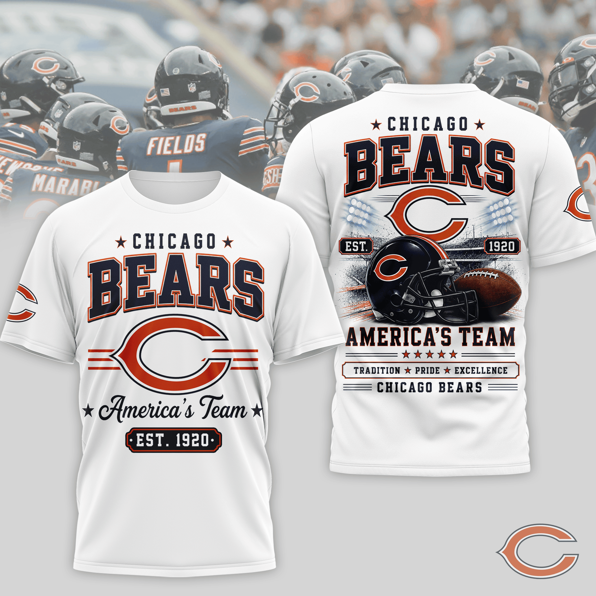 Chicago Bears | Premium NFL Team Tradition Pride 3D Shirt NTH1